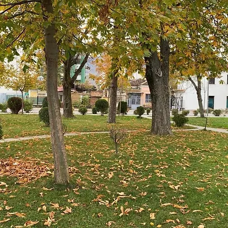 Quiet Lake Ohrid Studio Apartment Pogradec